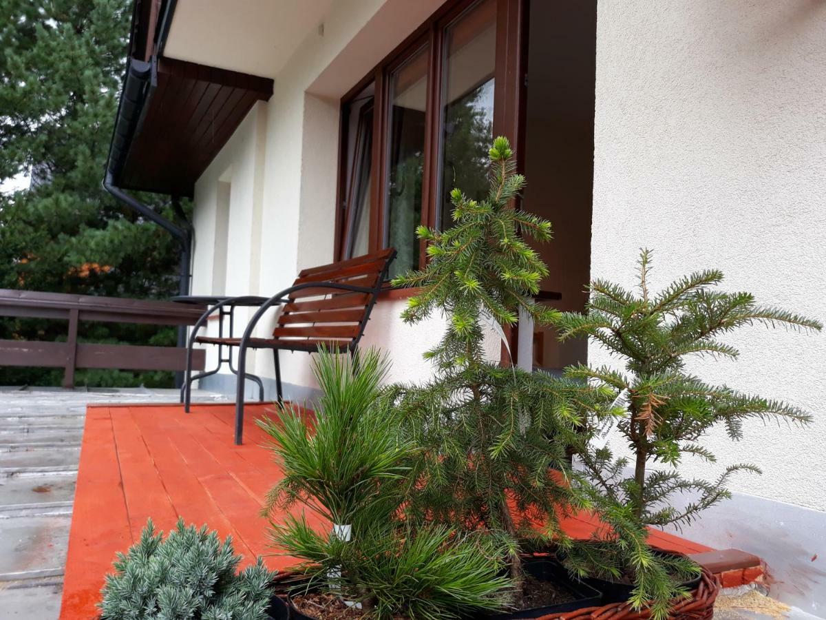 Willa Sichla Murzasichle Apartment ภายนอก รูปภาพ